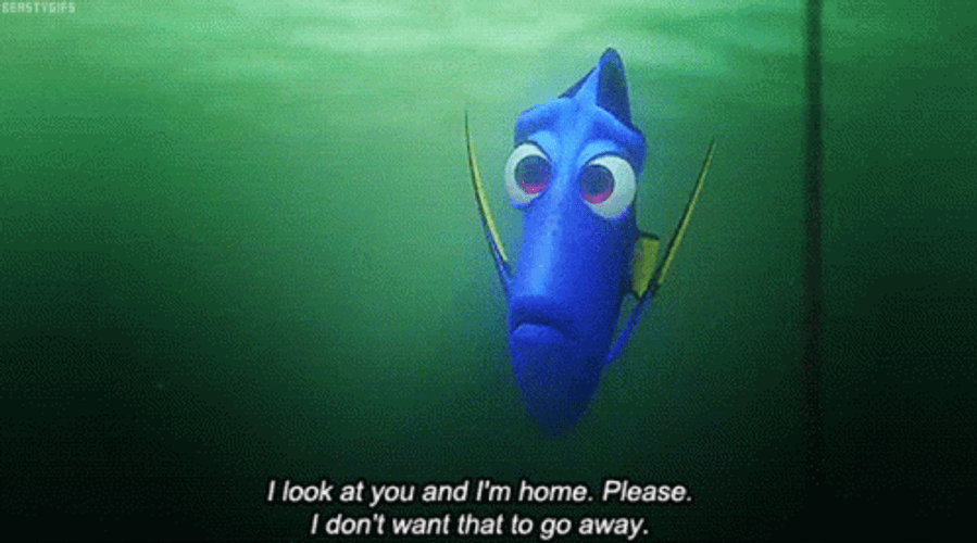 Overthinking Dory GIF