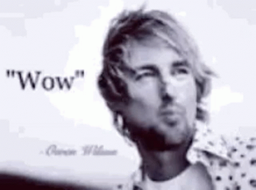 Owen Wilson Wow Sow Motion GIF
