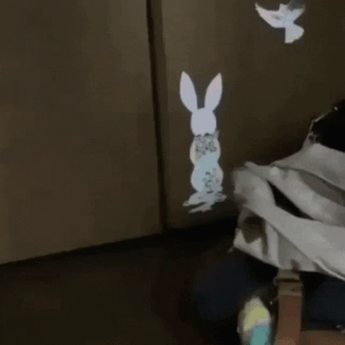Owl Before Rabbit Projection Saying Tady Sem GIF