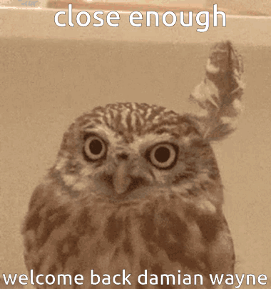Owl Close Enough Welcome Back Damian Wayne GIF