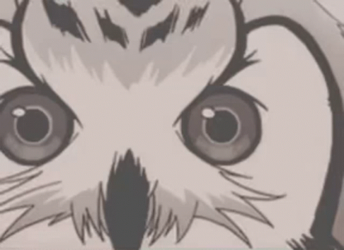 Owl Drawing With Big Eyes GIF