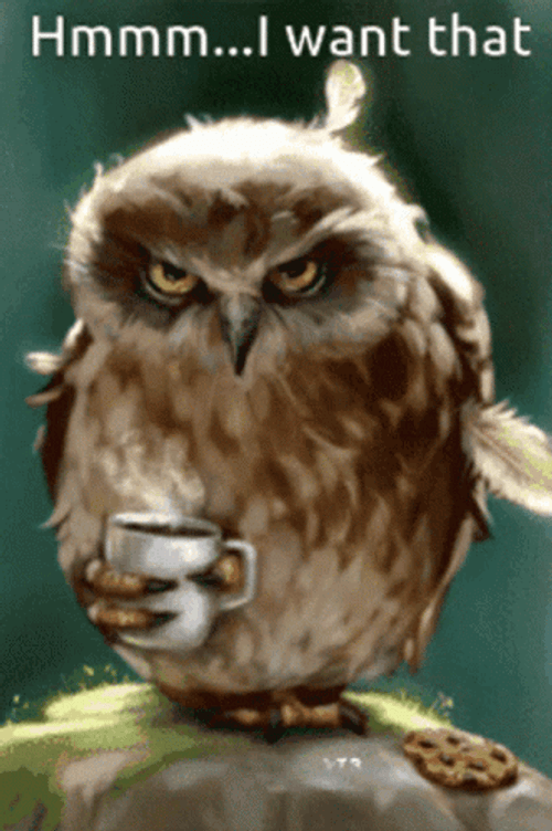 Owl Drinking Coffee I Want That  GIF