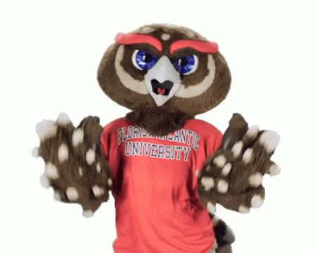 Owl Mascot In Red Florida Atlantic University Shirt GIF