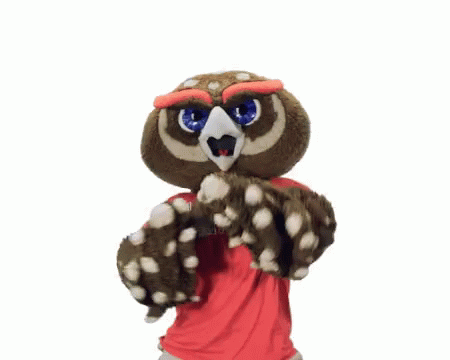 Owl Mascot Wearing Florida University Shirt