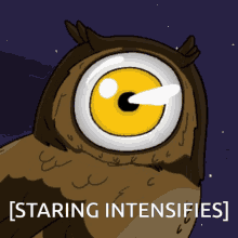 Owl Night Staring Intensifies GIF