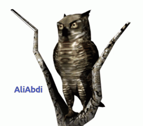 Owl on Tree Branch Aliabdi