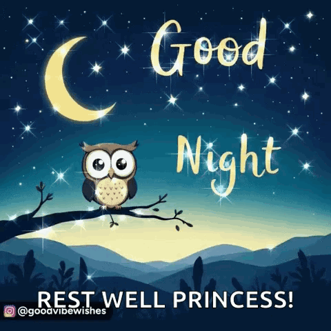 Owl Saying Good Night Rest Well Princess