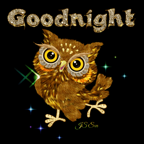 Owl Saying Goodnight GIF