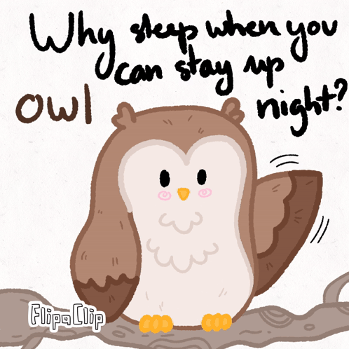 Owl Saying Why Sleep When You Can Stay Up Night