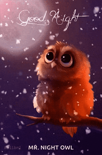 Owl Sitting On Branch Good Night Mr. Night Owl GIF