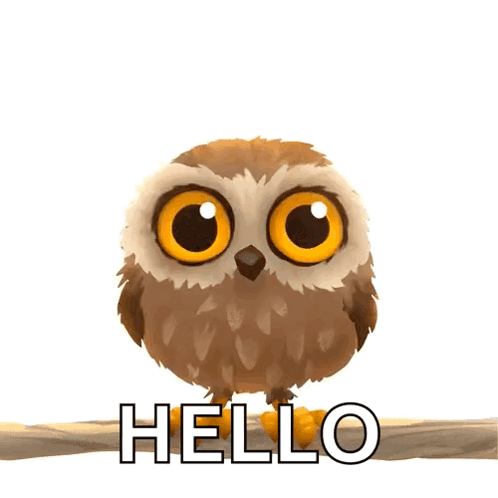 Owl Sitting On Branch Saying Hello GIF