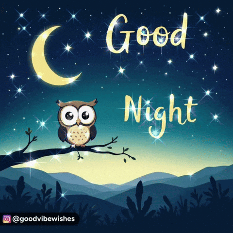 Owl Sitting On Tree Branch Good Night GIF