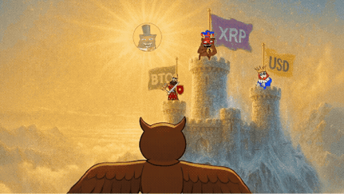Owl Standing In Front Of Castle With XRP Banner GIF