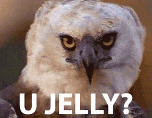 Owl U Jelly