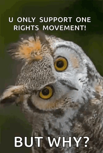 Owl U Only Support One Rights Movement Why