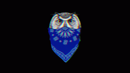 Owl Wearing Blue Bandana and Crown Saying King