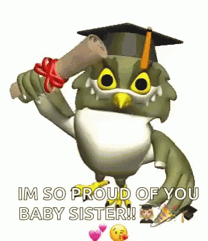 Owl Wearing Graduation Cap Holding Diploma GIF