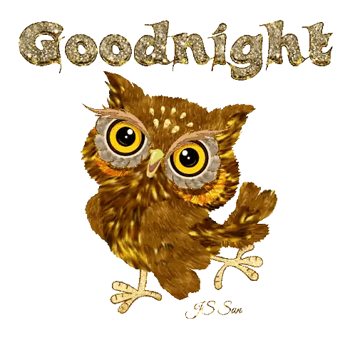 Owl With Goodnight Words