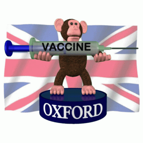 Oxford Universitiy Vaccine Monkey GIF