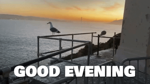 Bay View Good Evening GIF