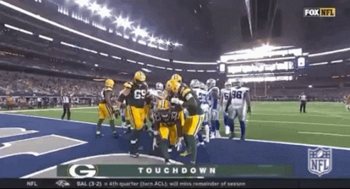 Green Bay Packers Mike Mccarthy Touchdown GIF