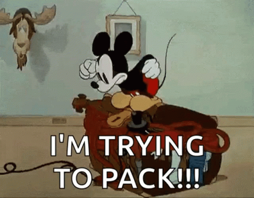 Im Trying To Packing Mickey GIF