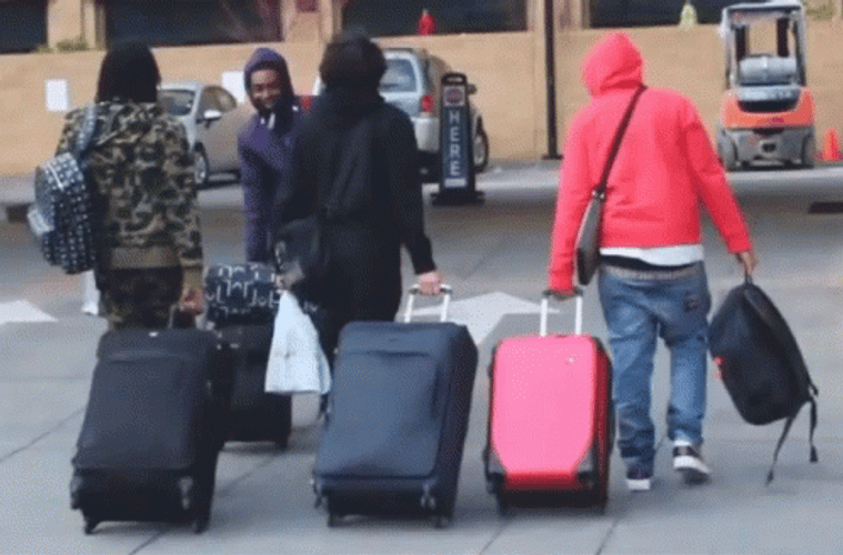 Packing All Luggage GIF