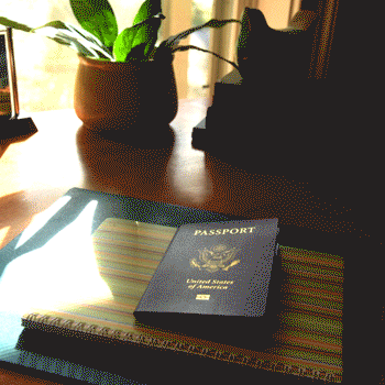 Packing Up For Travel GIF