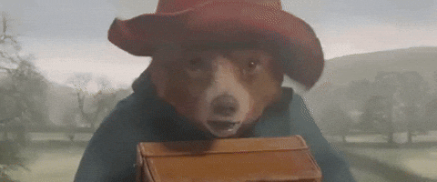 Paddington Bear Speeding GIF