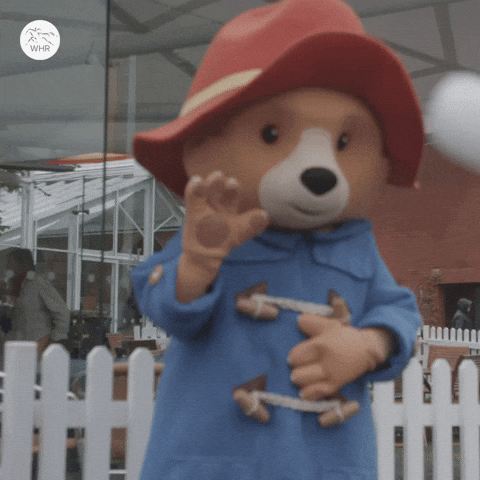Paddington Bear Waving GIF