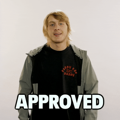 Paddy The Baddy Approved GIF