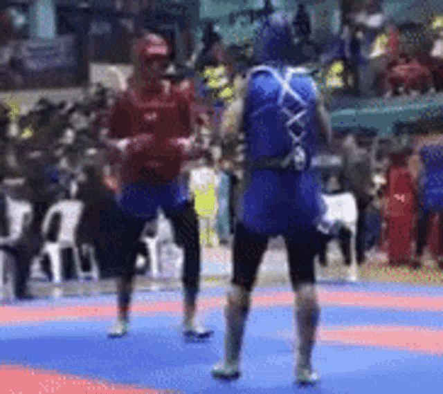 Pagancy Lowkick Gif GIF