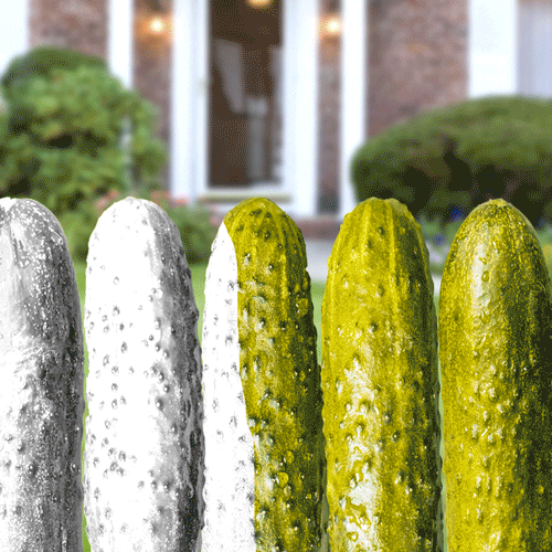 Painted White Pickle GIF