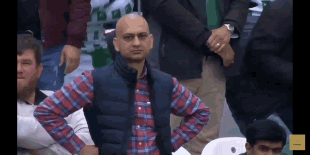 Pakistan Cricket Fan Pakistan Fan Gif GIF