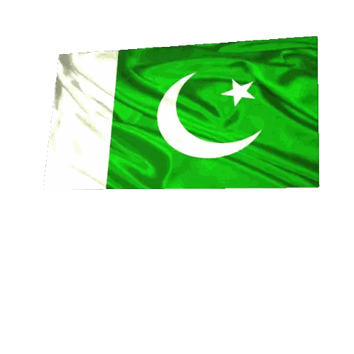 Pakistan Flag With Crescent And Star