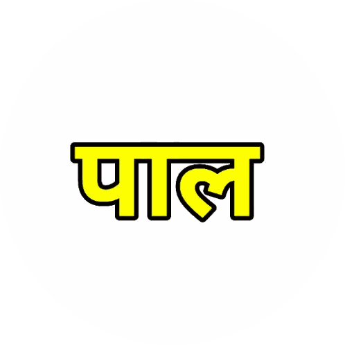 Pala Logo in Yellow and Black