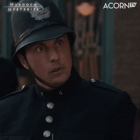 Palace Guard Not Again Reaction GIF