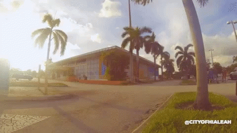 Palm Tree in Front of Building Saying City of Phia Leah