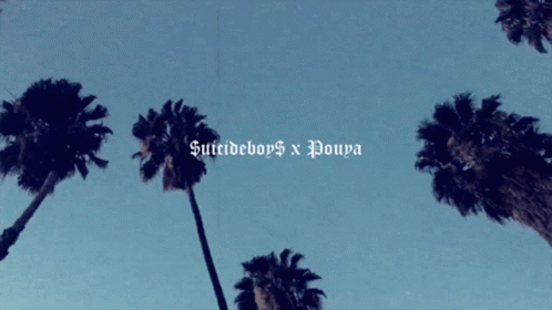 Palm Trees Against A Blue Sky With The Words Suicideboys X Poupa Below Them GIF