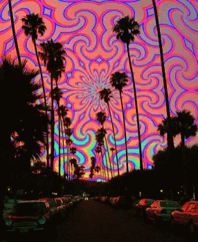 Palm Trees Are Silhouetted Against A Colorful Swirl In The Sky GIF