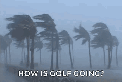 Palm Trees Blowing in Wind How Is Golf Going