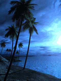 Palm Trees Silhouetted Blue Sky Ocean