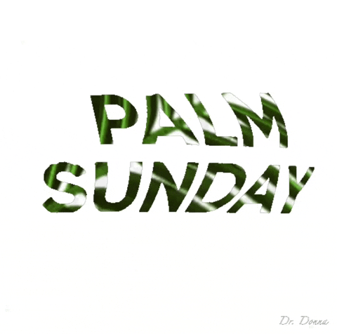 Palm Valley Church Happy Palm Sunday GIF