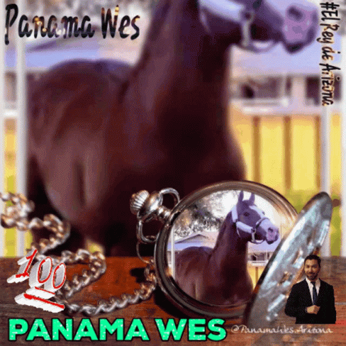 Panama Brown Horse Keychain GIF