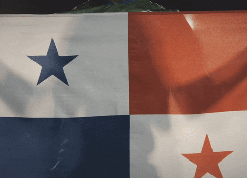 Panama Flag Athlete Raising GIF