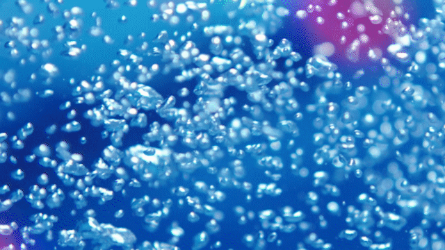 Panasonic Loica Model GIF