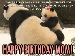 Panda Bear Holding Baby Panda Birthday Mom