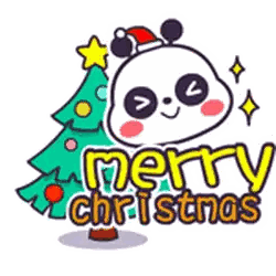 Panda Bear Santa Hat Next to Christmas Tree