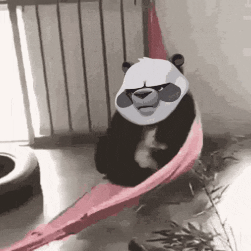 Panda Bear Sitting In Hammock With Pink Blanket GIF
