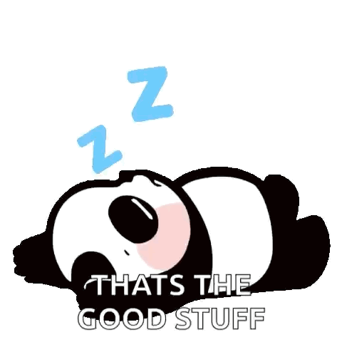 Panda Bear Sleeping Blue Z